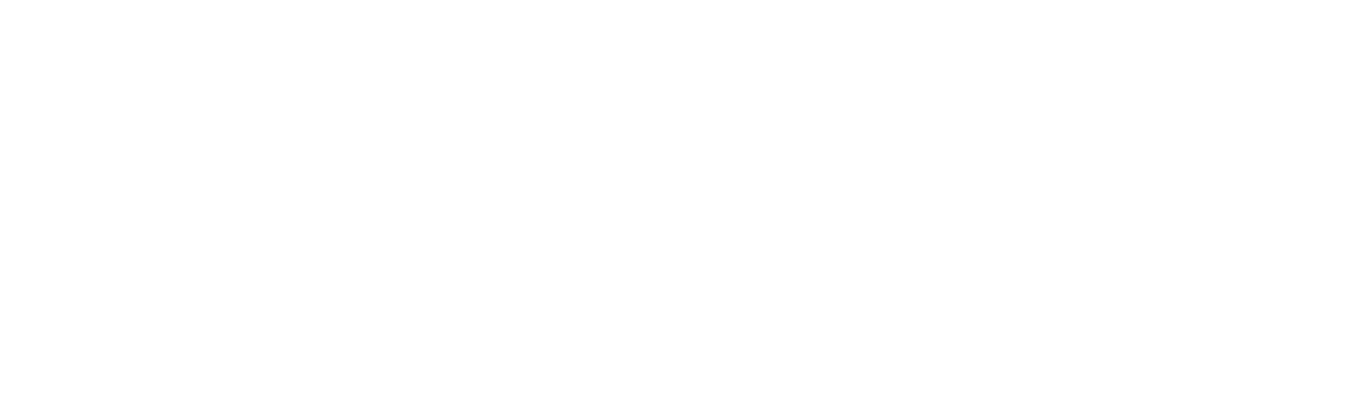 The Rendering
