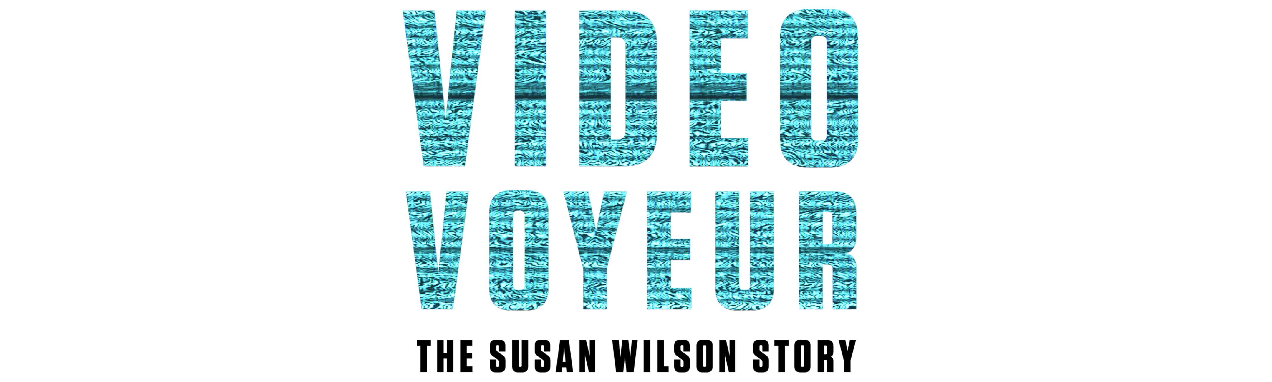 Video Voyeur: The Susan Wilson Story