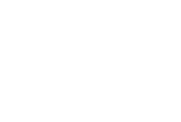 The Perfect Stalker