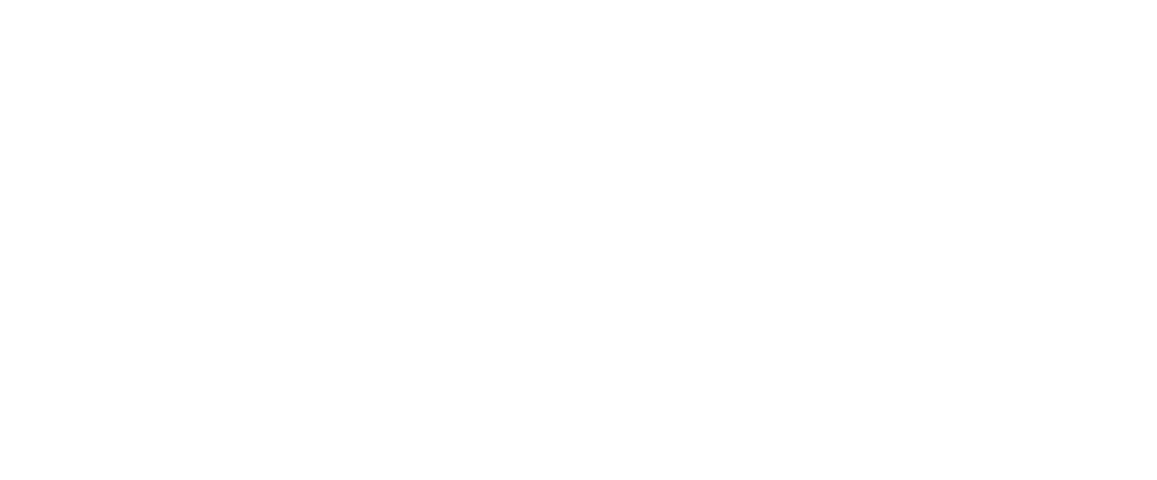 VC Andrews' Gates of Paradise: Special Edition