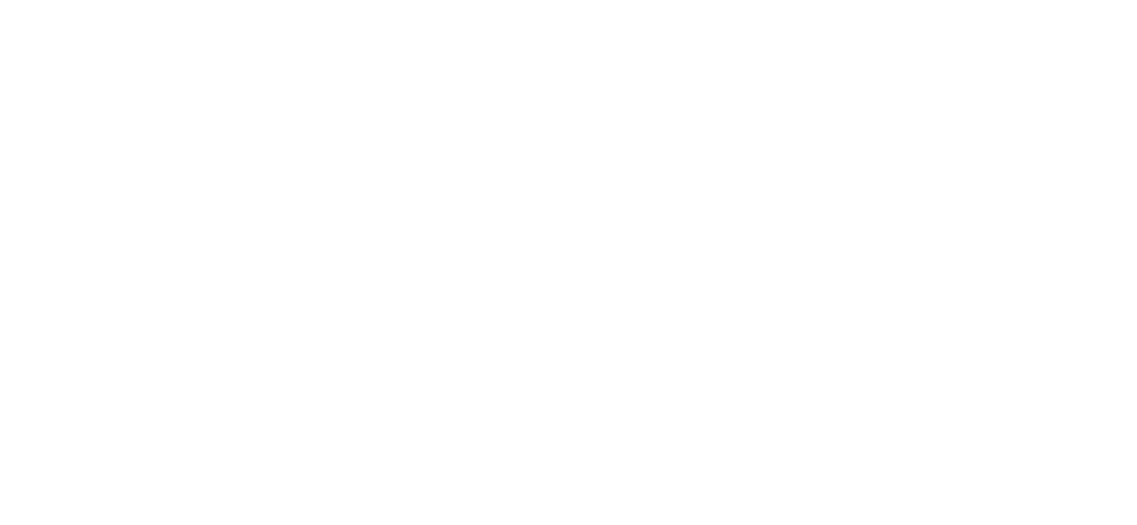 VC Andrews' Web of Dreams