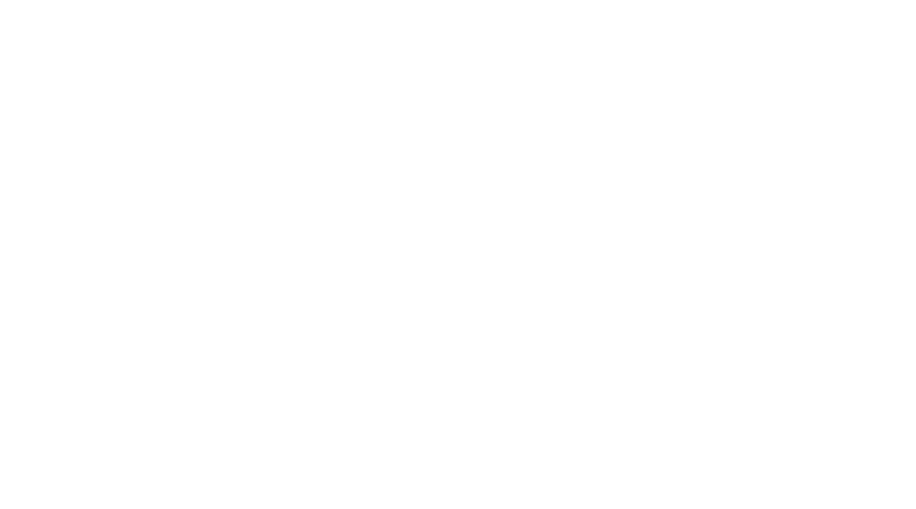 Amish Abduction