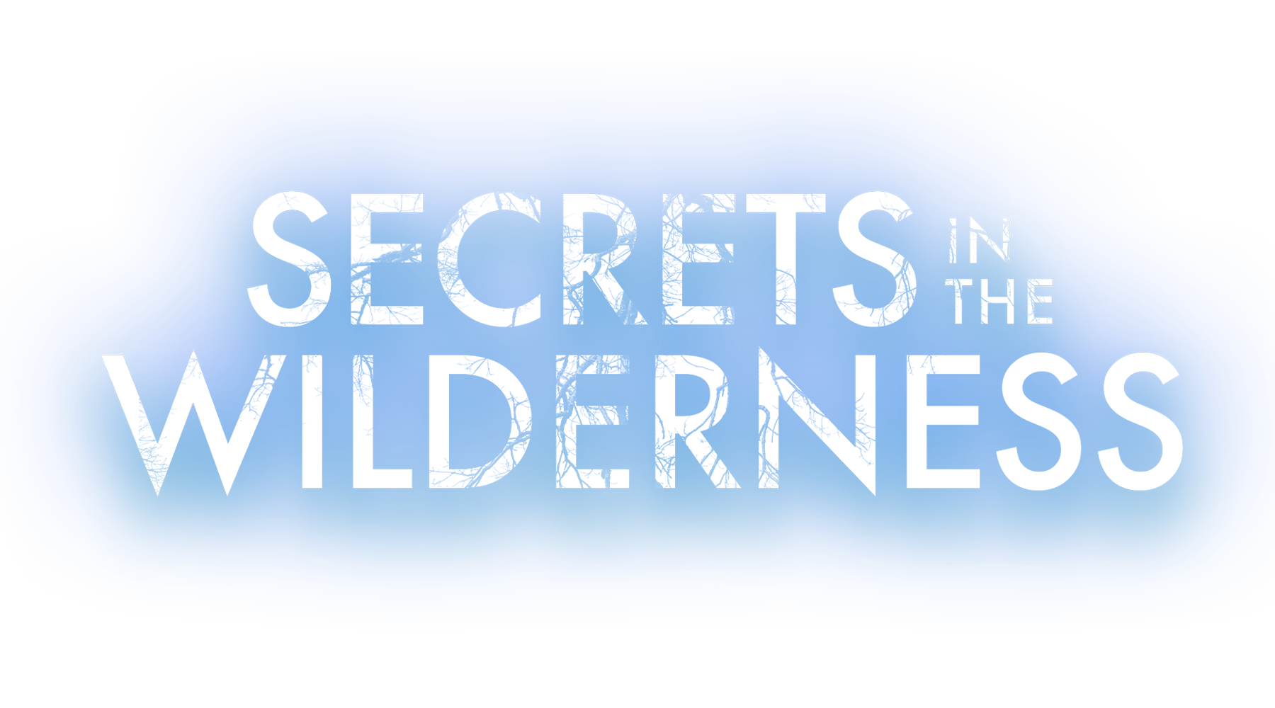 Secrets In The Wilderness