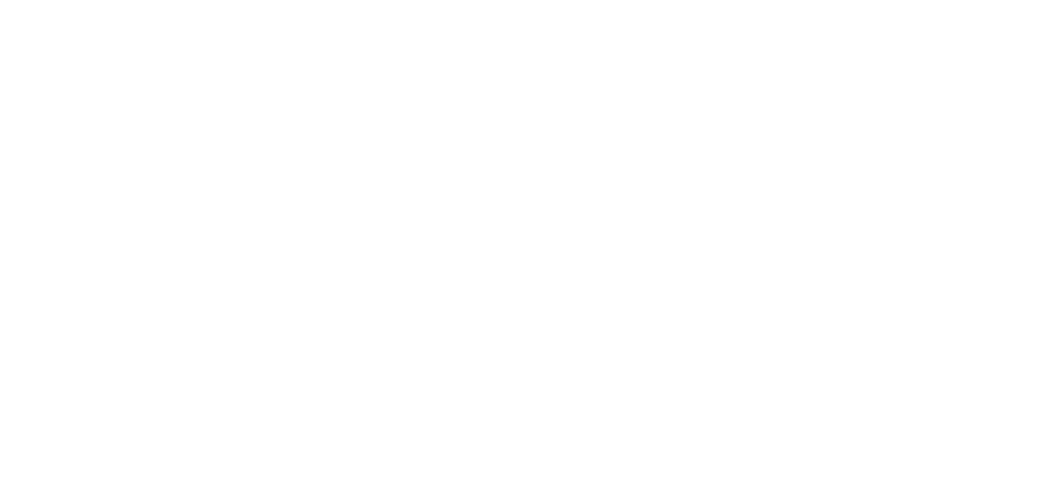 The Pregnancy Scheme