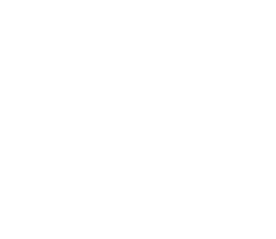The Perfect Wedding