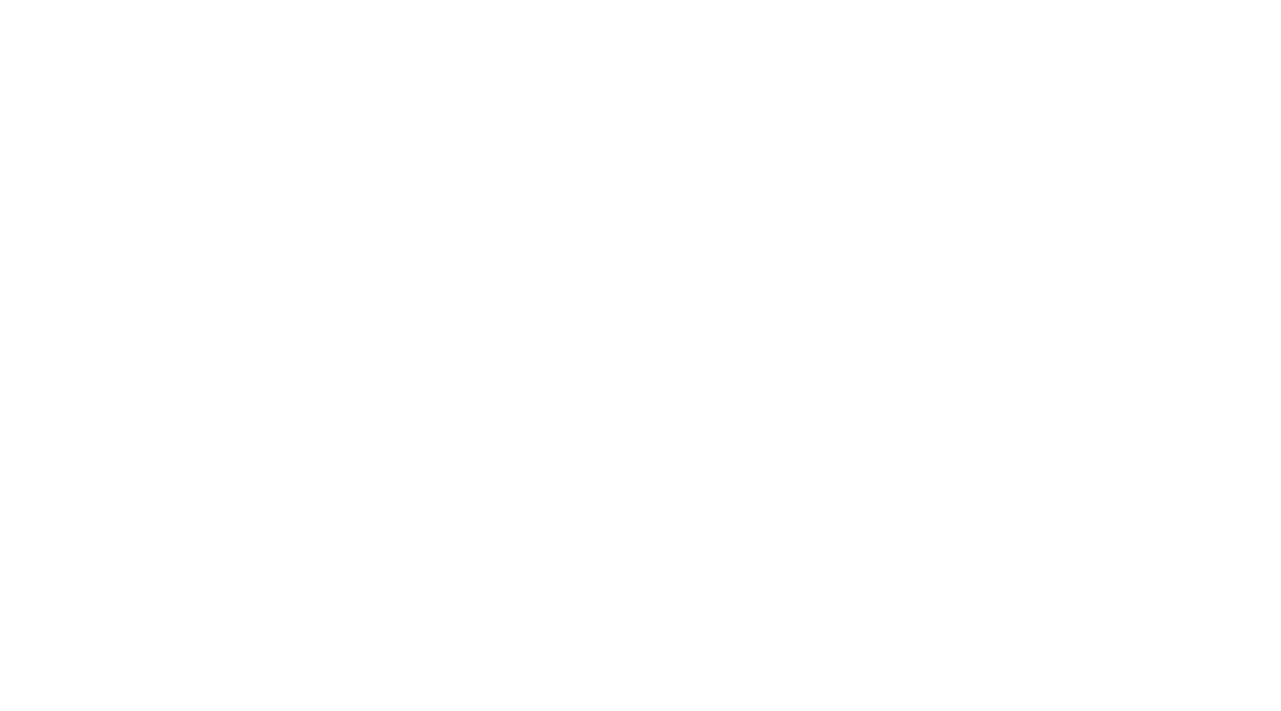 The First 48