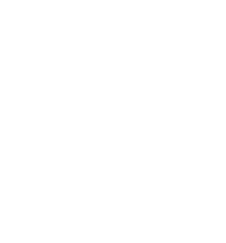 The Definitive Guide to the Mob