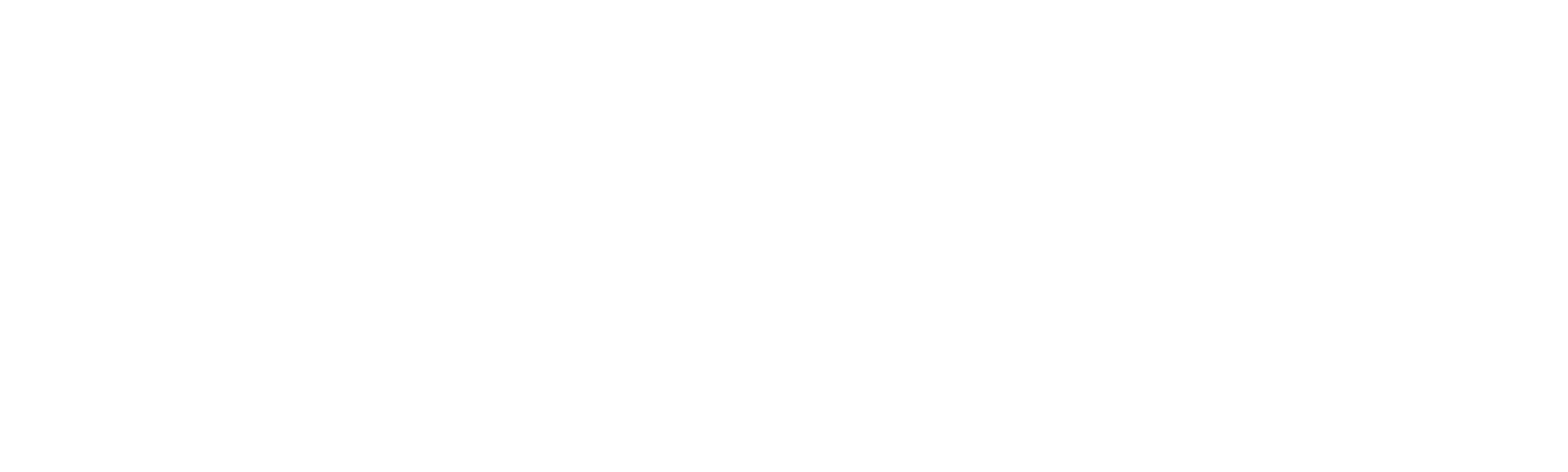 Police After Dark