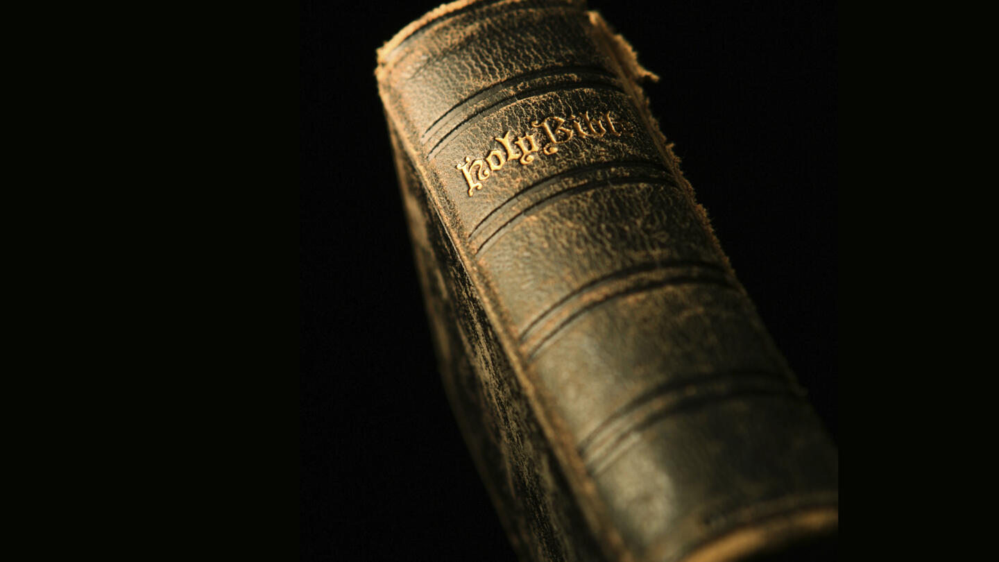 The Bible Rules