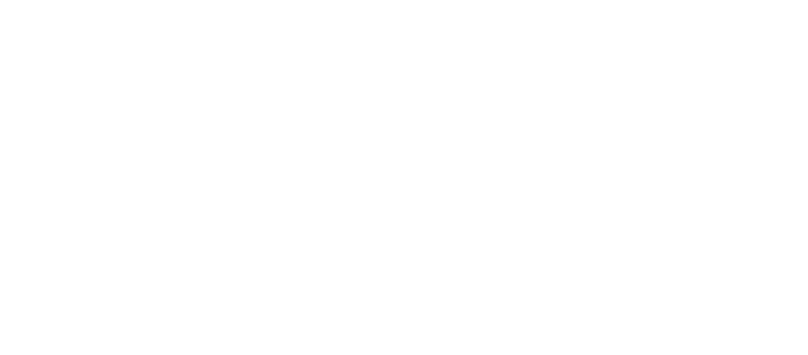 Hunting Hitler