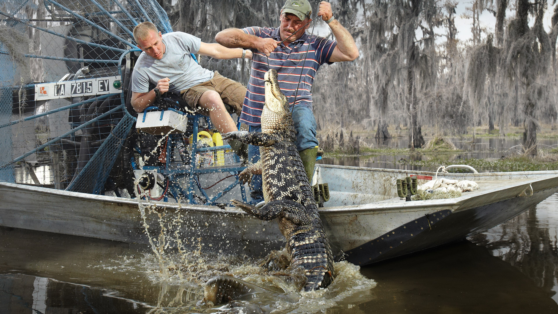 Catch up on season 5 of Swamp People, only on The HISTORY Channel. 