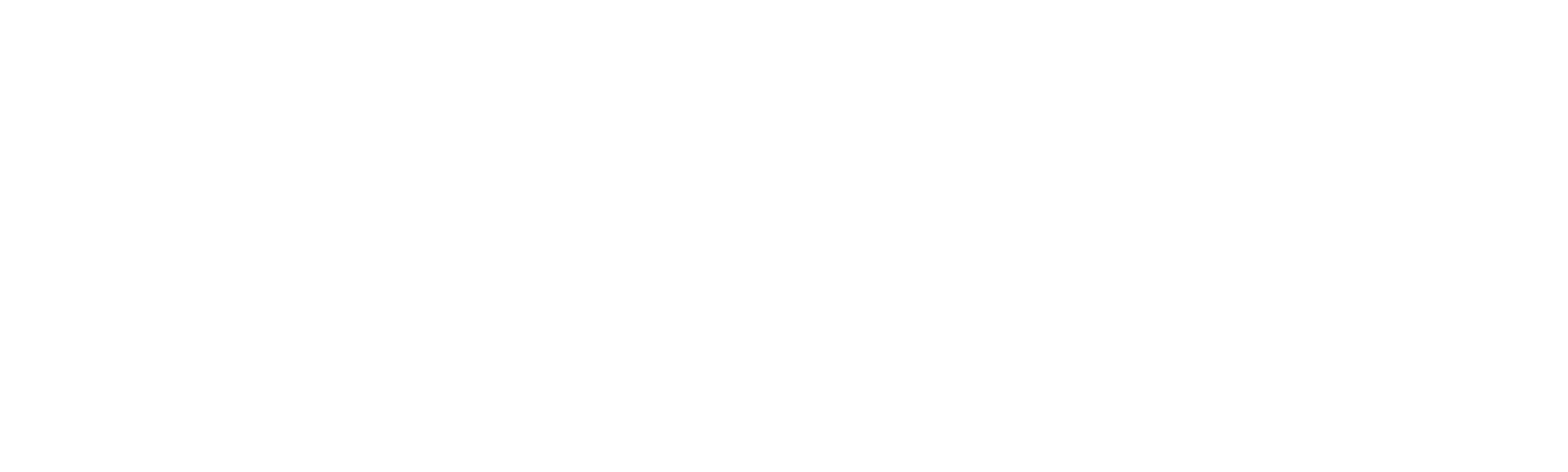 Einstein