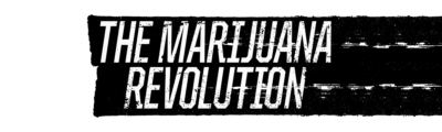 The Marijuana Revolution