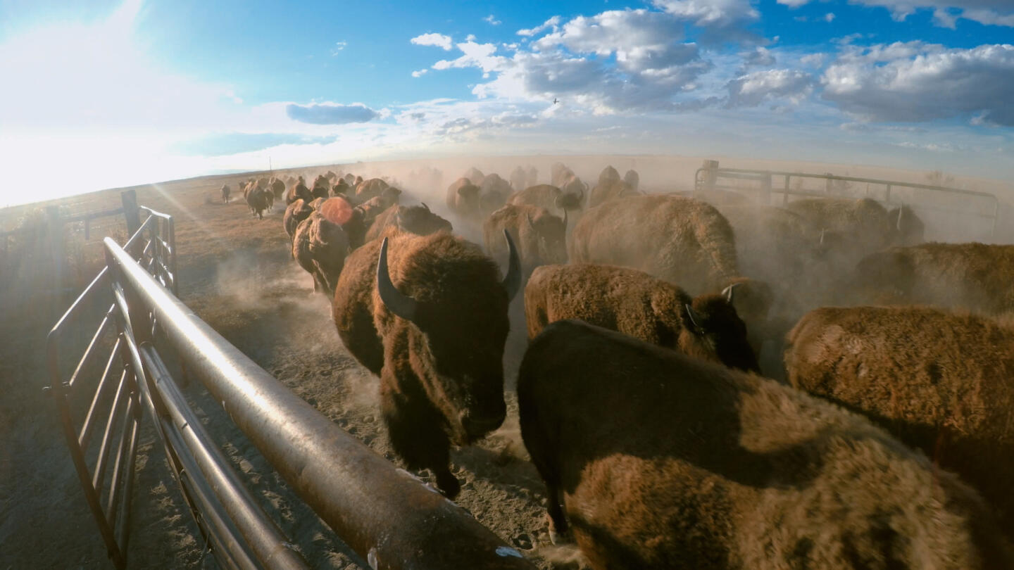 Ranchlands