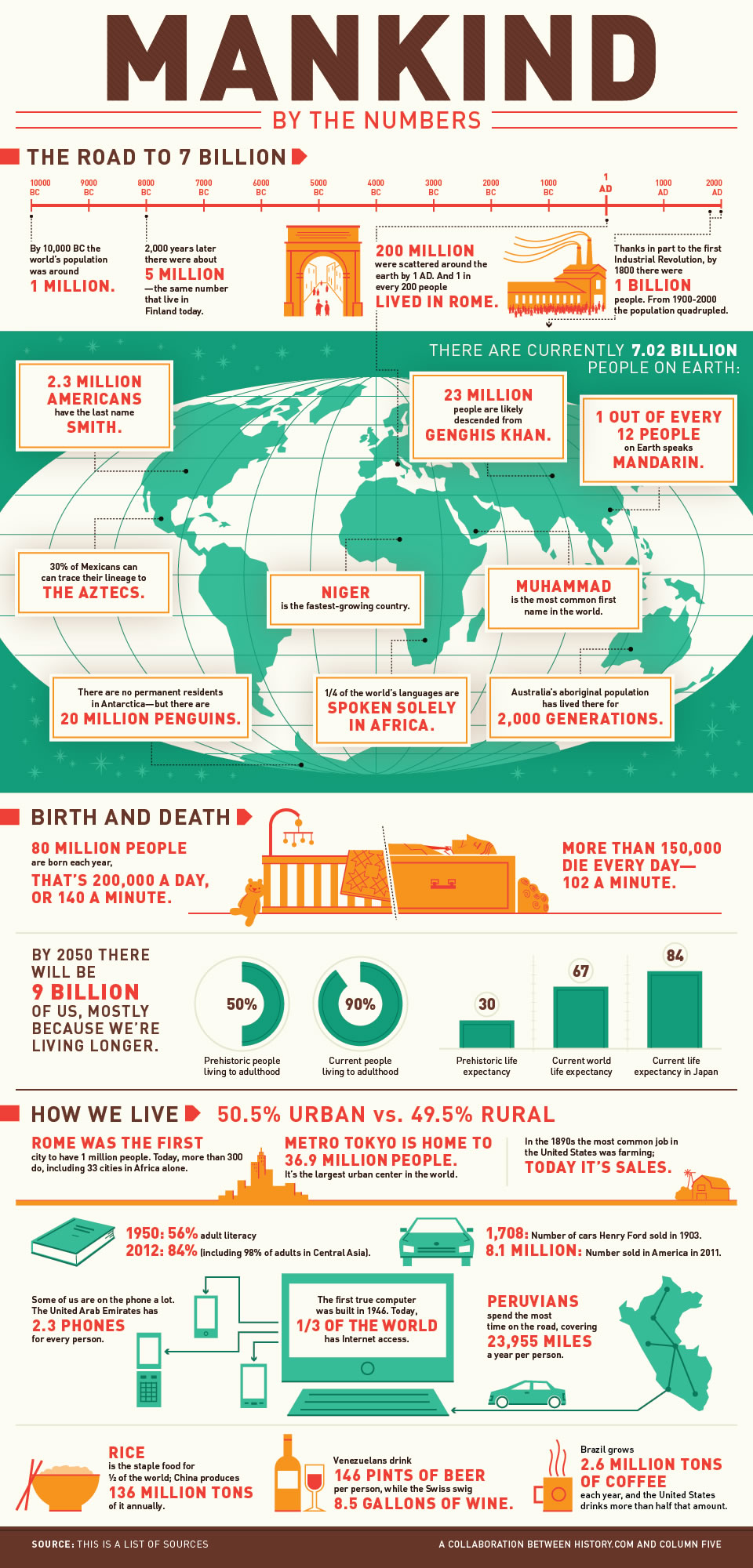 mankind the story of all of us infographic
