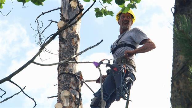 Ax Men, Zitterkopf