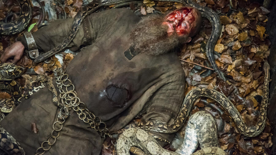 Travis Fimmel as Ragnar, Vikings