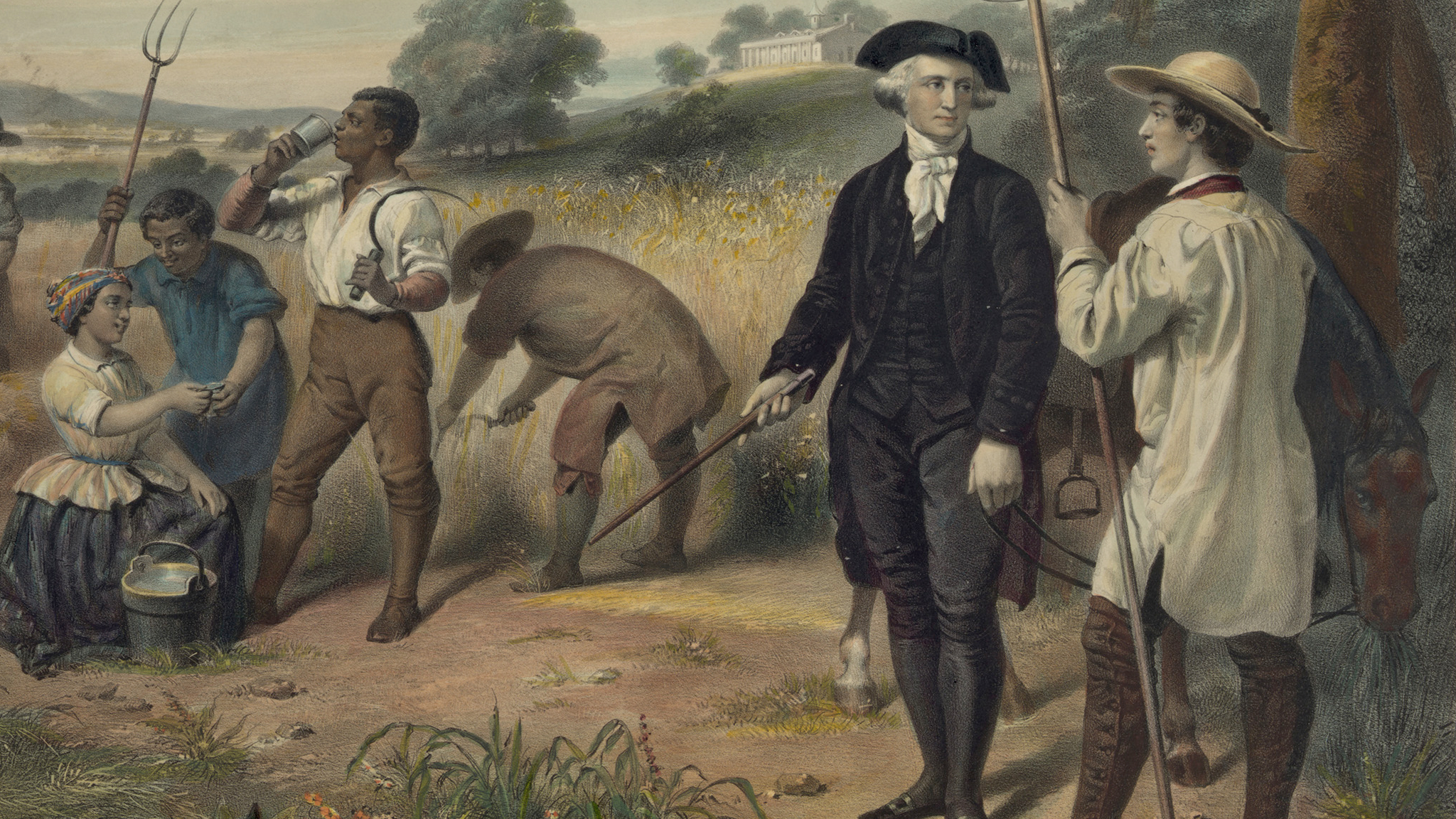 Read More: Did Washington Really Free Mount Vernon’s Slaves?