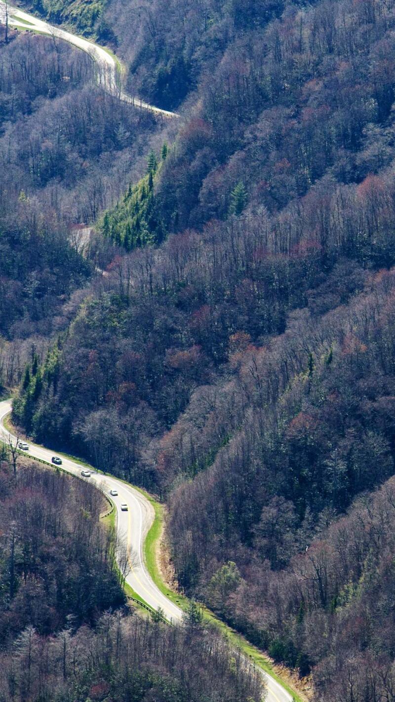 The Great Smoky Mountains