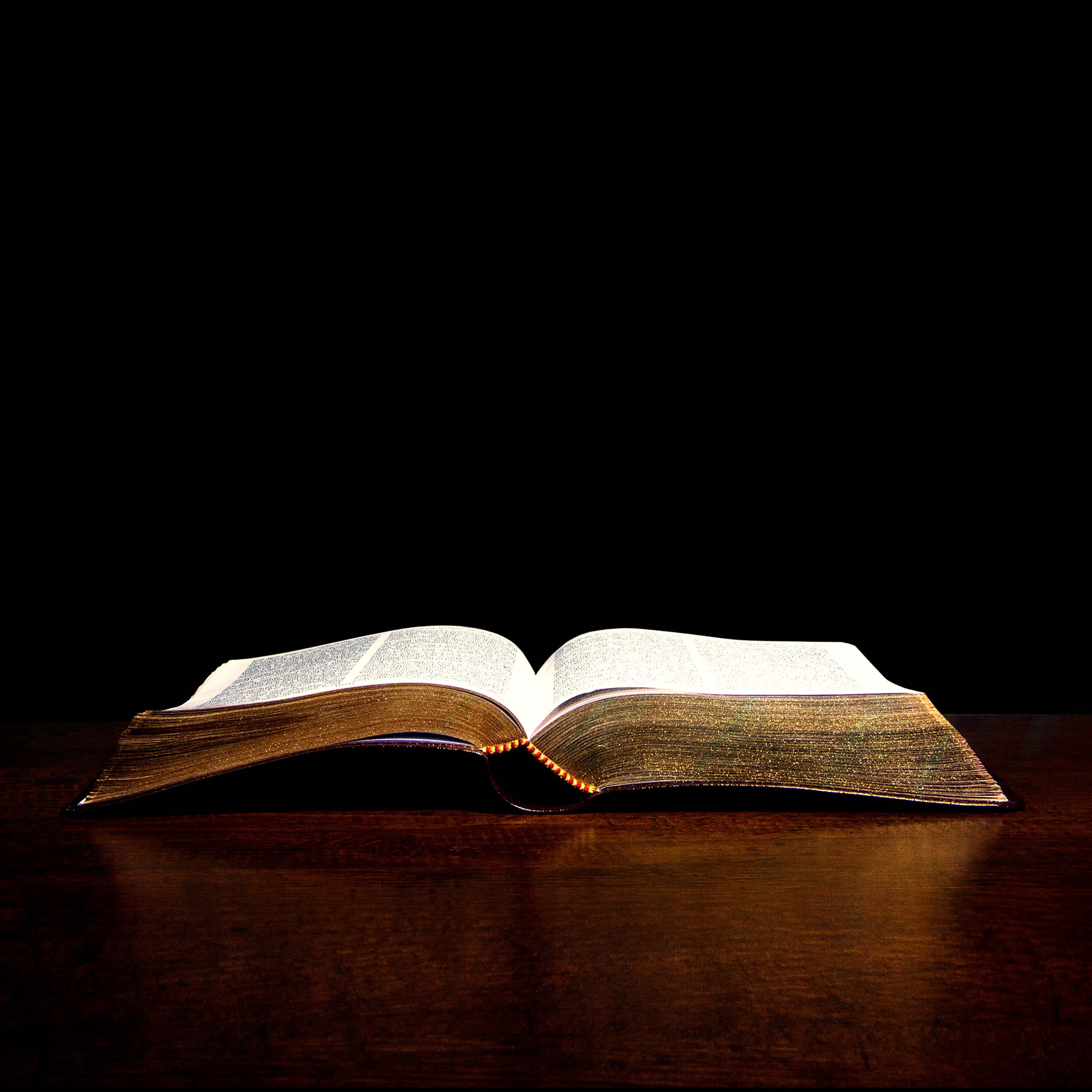 torah bible codes free torah bible codes free
