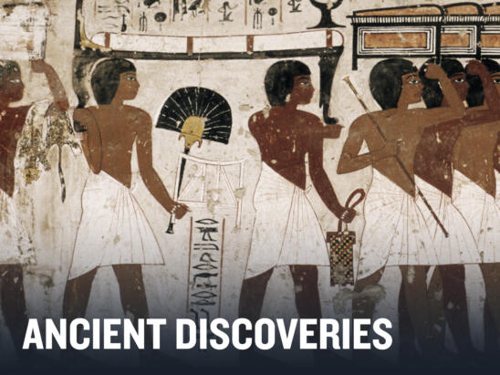 HISTORY Vault: Ancient Discoveries