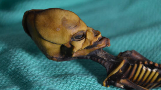 No, This Tiny Mummy Isn’t an Alien