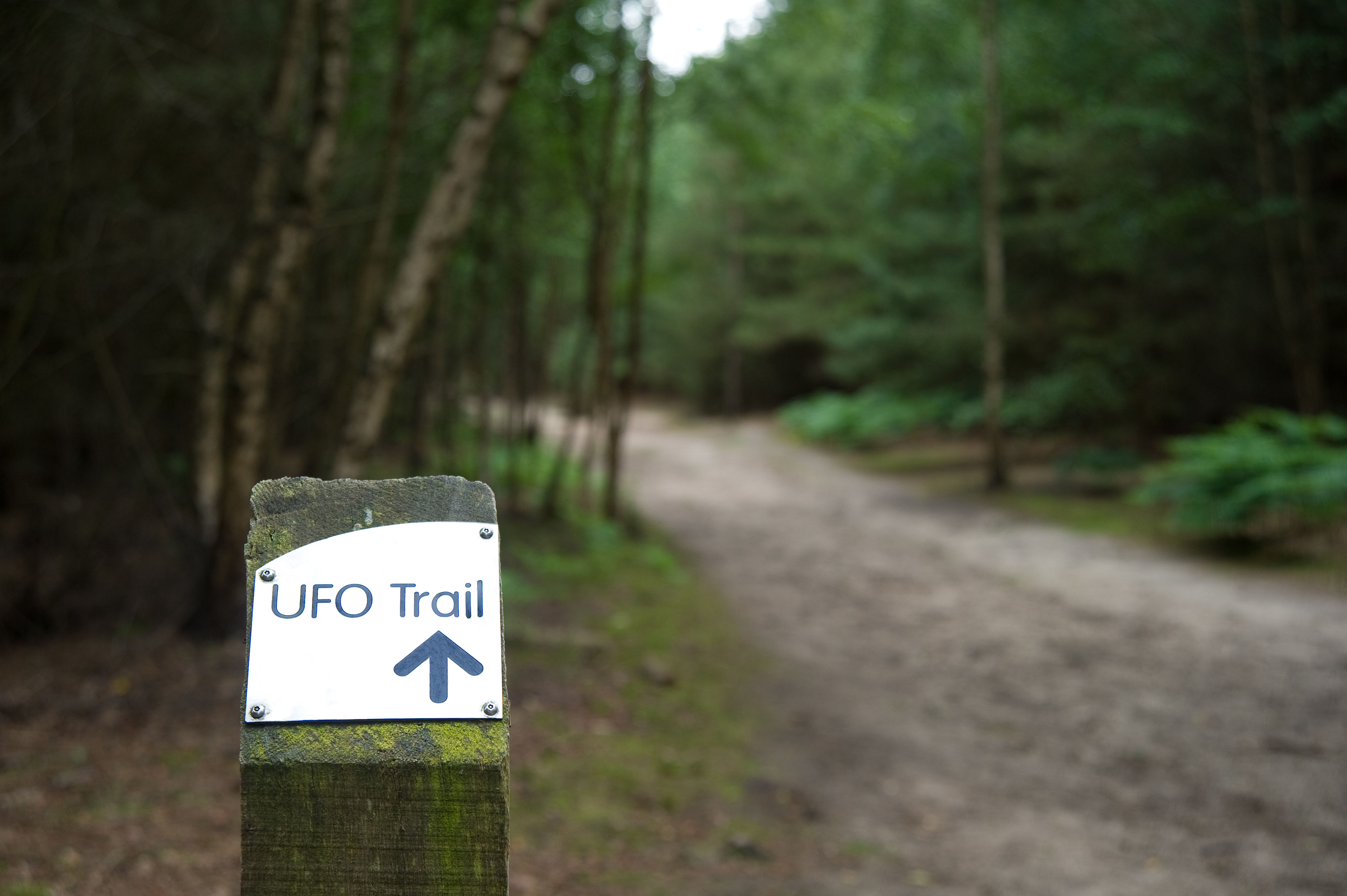 Image result for people disappearing in parks ufo