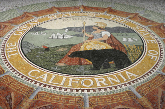 The Stories Behind 7 State Mottos