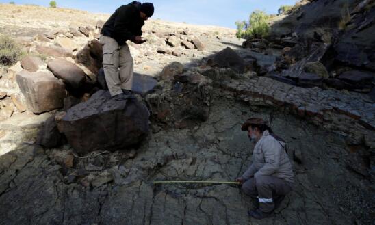 Largest-Ever Carnivorous Dinosaur Footprint Discovered in Bolivia