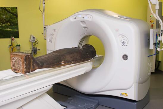 Experts Stunned By CT Scan of Tiny Mummy