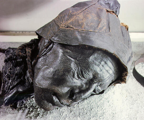 New Book Argues Bog Bodies Were Human Sacrifices