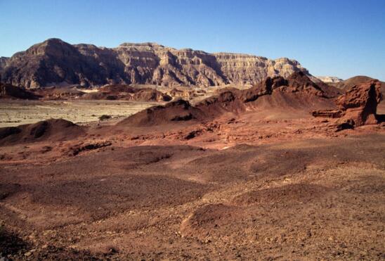 Ancient Manure is Latest Clue in Biblical Mystery