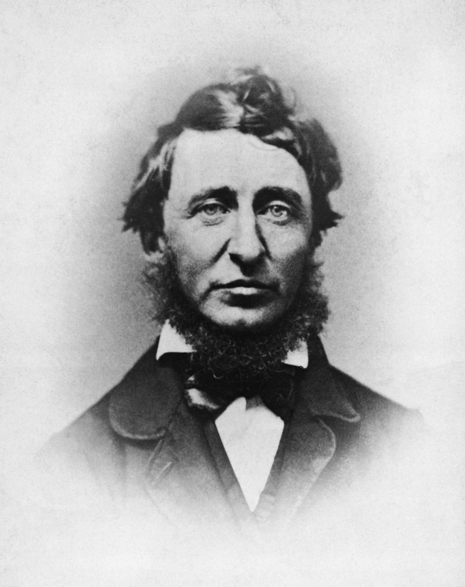 Famous Historic Photo HENRY DAVID THOREAU Portrait Black /& White