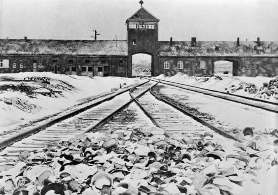 How the Nazis Tried to Cover Up Their Crimes at Auschwitz