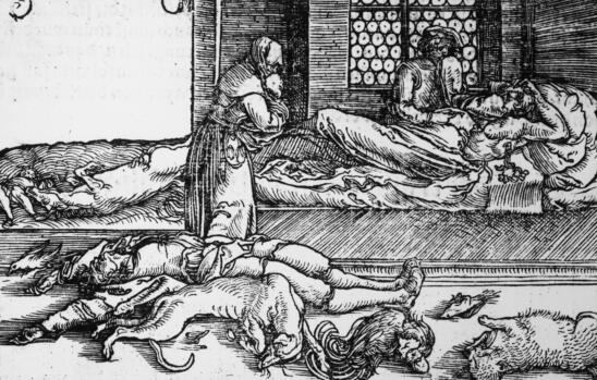 Rats Didn’t Spread the Black Death—It Was Humans