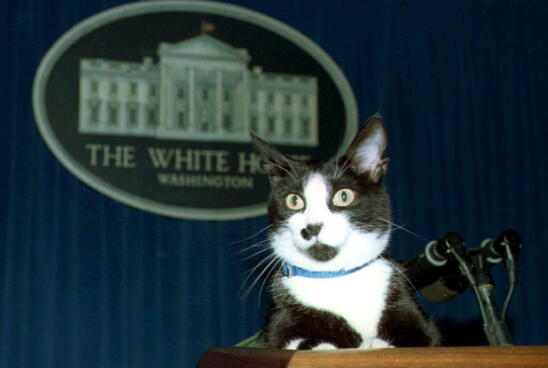 9 Presidential Pets