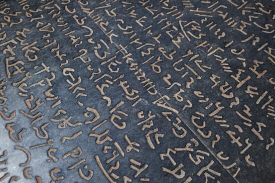 The Quest to Decipher the Rosetta Stone