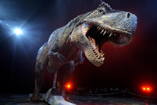 New Study Finds the T. Rex Was Easy to Outrun