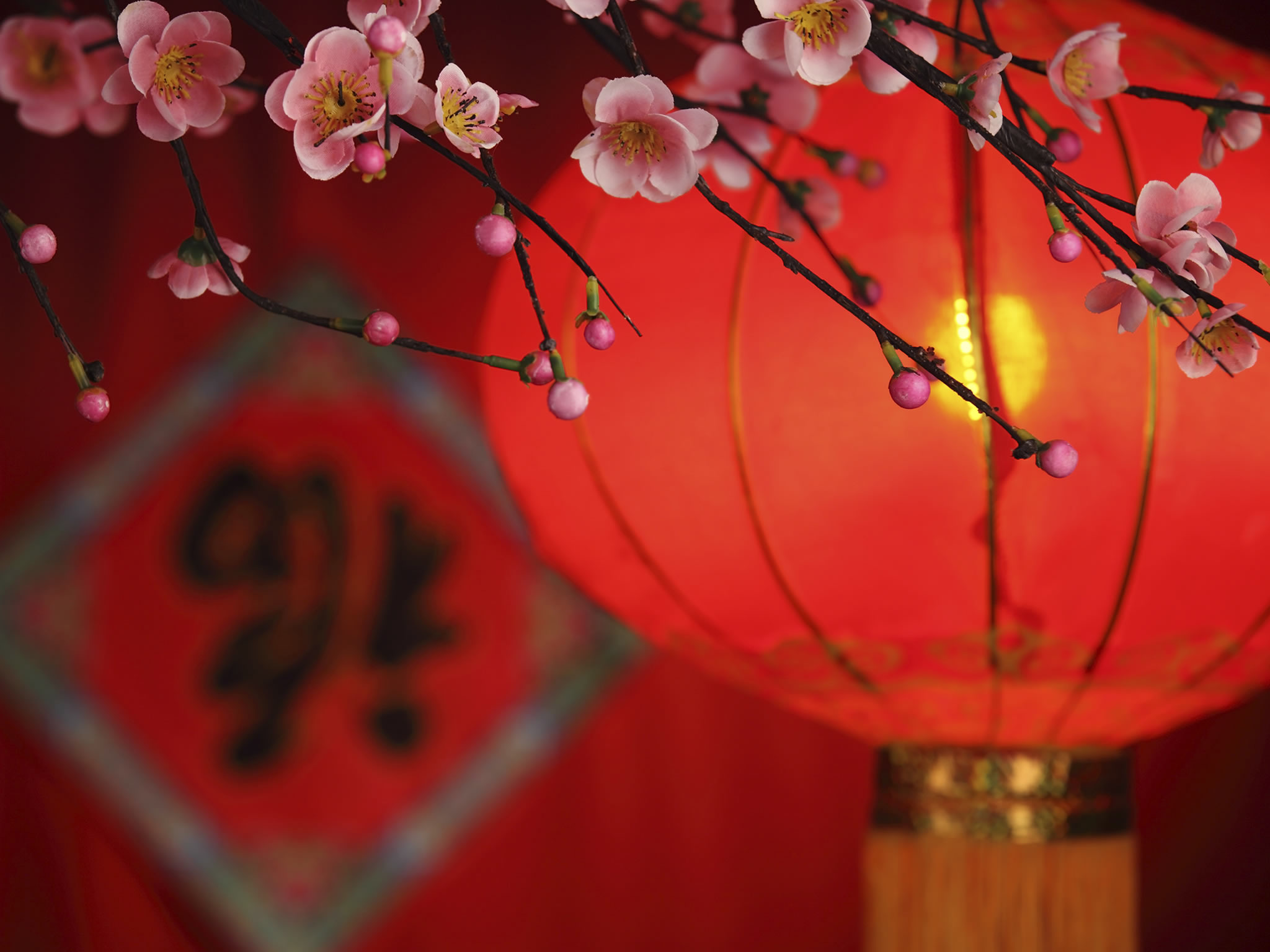 8 Things You Should Know About Chinese New Year - HISTORY