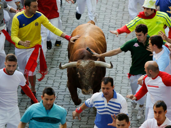 For Better or Worse, Running of the Bulls Comes to U.S.