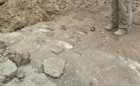 Archaeologists Discover Possible Homo Erectus Footprints in East Africa