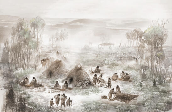 DNA from Ice Age Baby Uproots Native American Family Tree