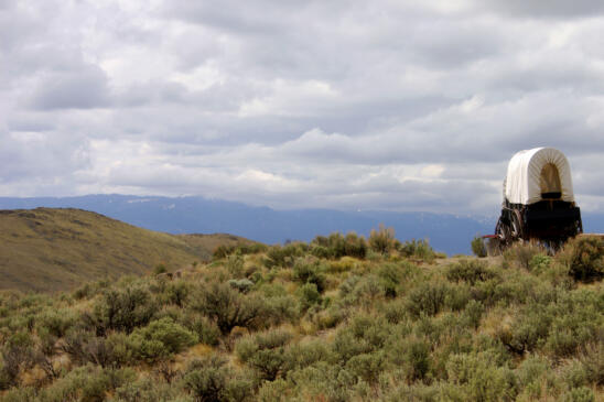 Was the Oregon Trail a real trail?