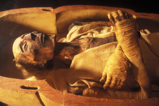 5 Great Mummy Discoveries