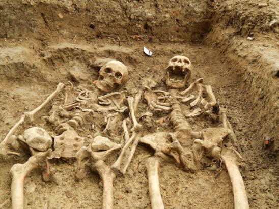 700-Year-Old Skeletons Found Holding Hands