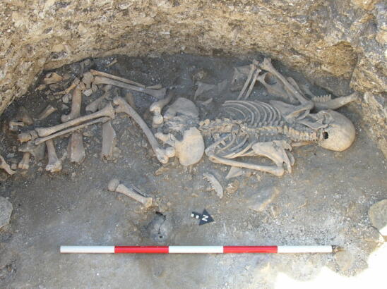 Iron Age Graves in Britain Yield Hybrid Animals and Human Sacrifice