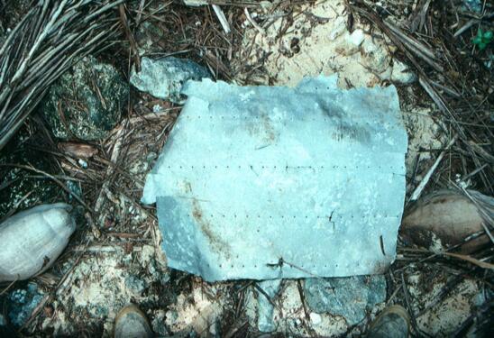 Researchers Identify Fragment of Amelia Earhart’s Plane