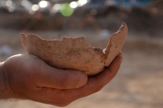 Ancient Egyptian Brewery Unearthed in Israel