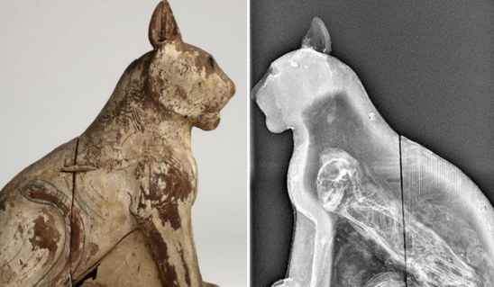 Scientists Reveal Inside Story of Ancient Egyptian Animal Mummies