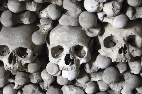 Medieval “Black Death” Was Airborne, Scientists Say